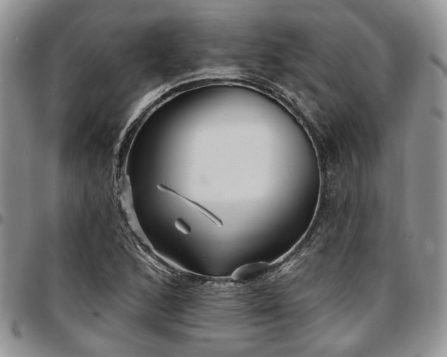 X0000097671168200802291453