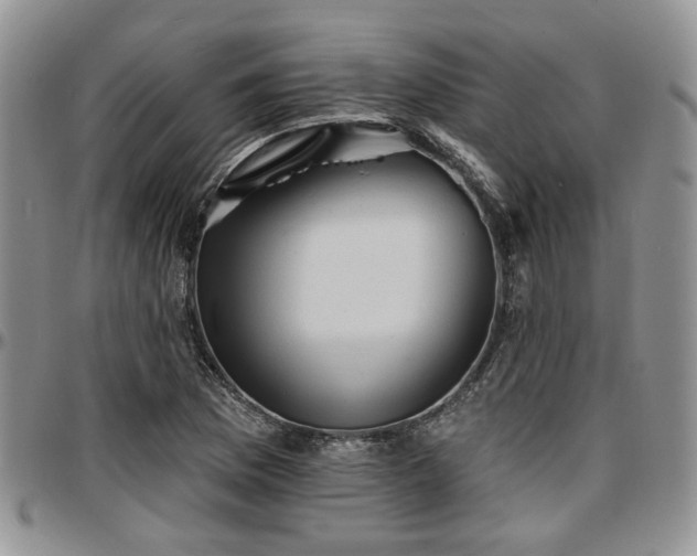X0000097671169200802291453