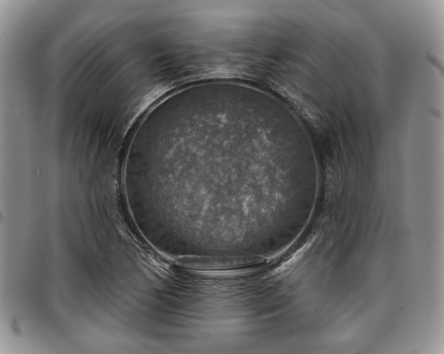 X0000097671170200802291453