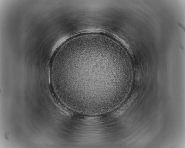 X0000097671171200802291453