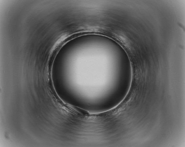 X0000097671172200802291453