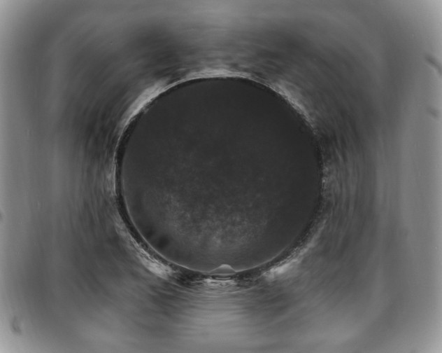 X0000097671173200802291453