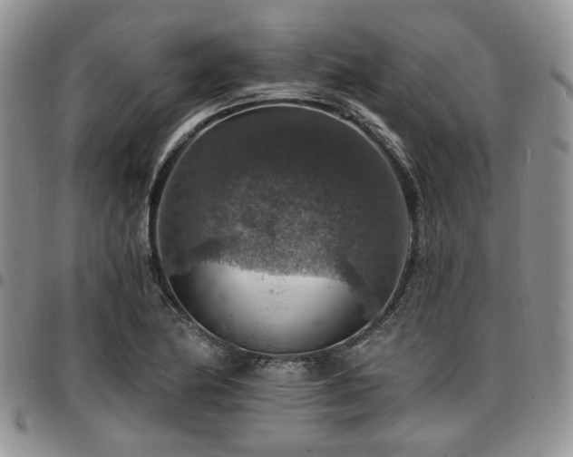 X0000097671174200802291453