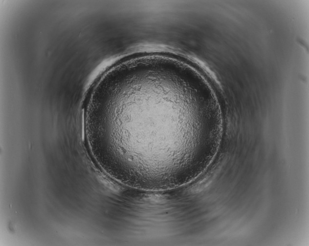 X0000097671175200802291453