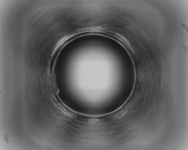 X0000097671176200802291453