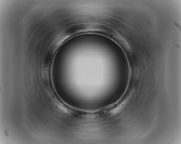 X0000097671177200802291453