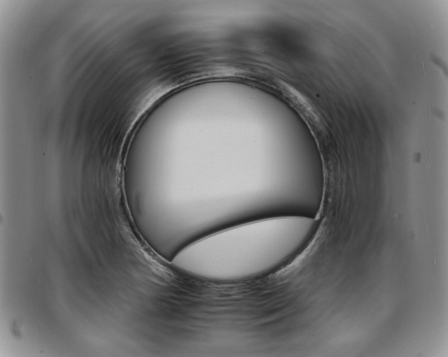 X0000097671178200802291453