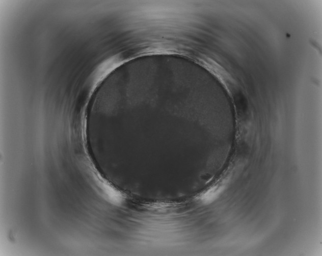X0000097671179200802291453