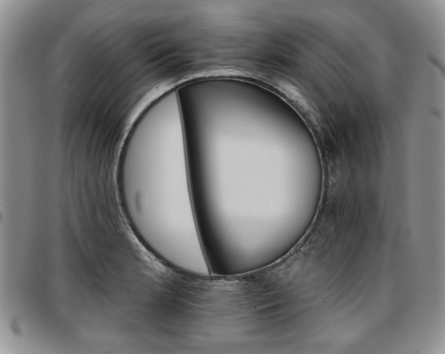 X0000097671181200802291453