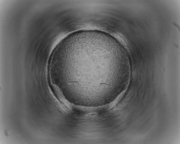 X0000097671183200802291453