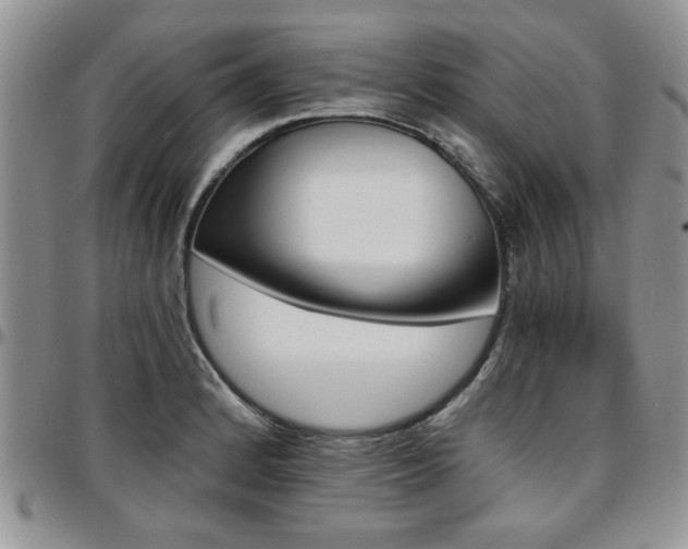 X0000097671184200802291453