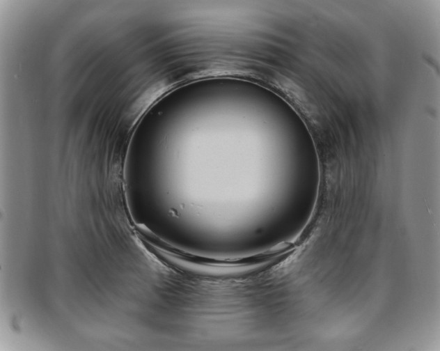 X0000097671185200802291453