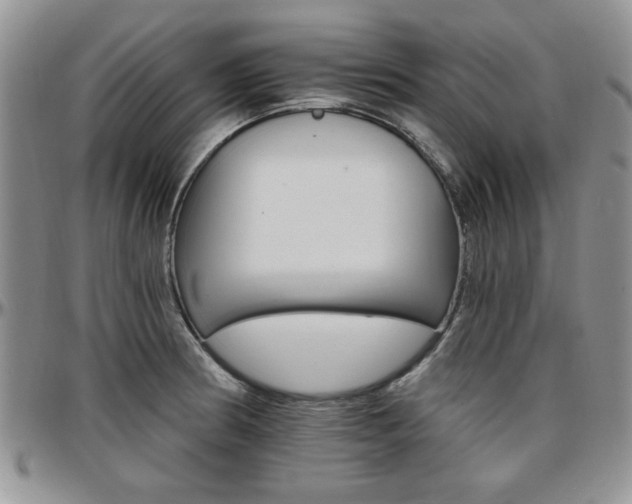 X0000097671186200802291453