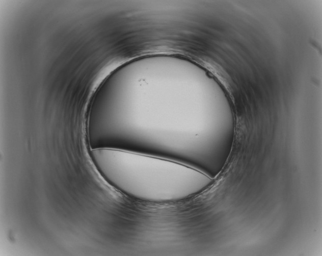 X0000097671187200802291453