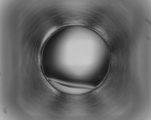 X0000097671188200802291453