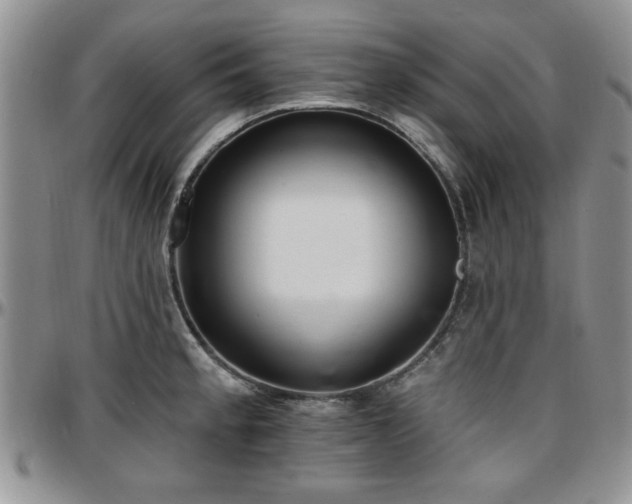 X0000097671189200802291453