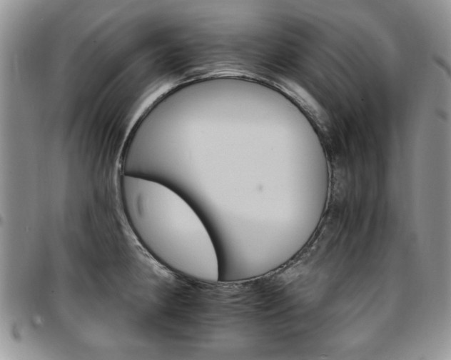 X0000097671190200802291453