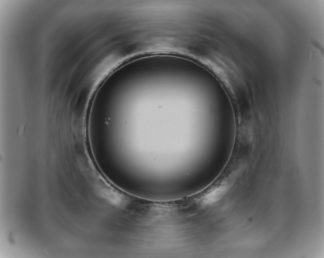 X0000097671191200802291453