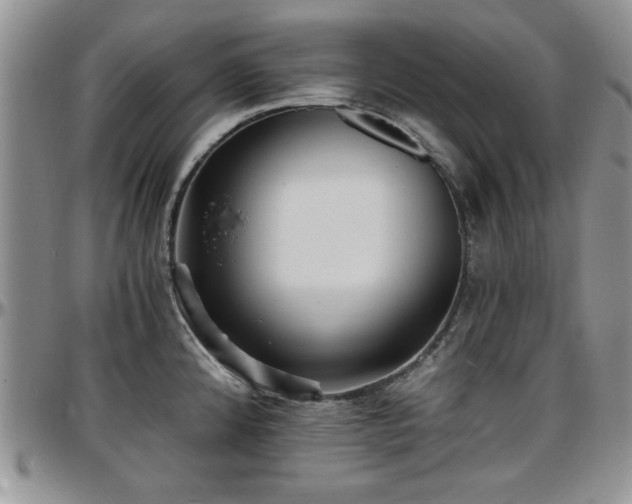 X0000097671192200802291453