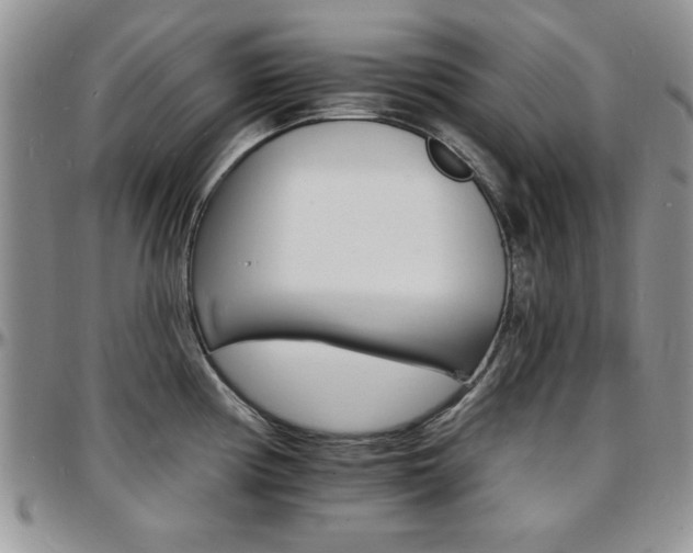 X0000097671194200802291453