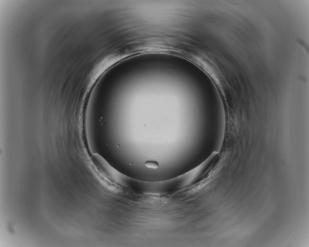 X0000097671195200802291453