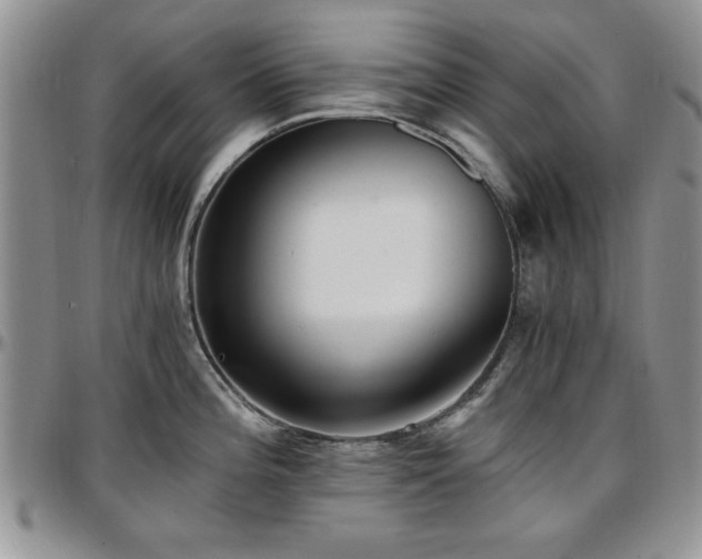 X0000097671196200802291453