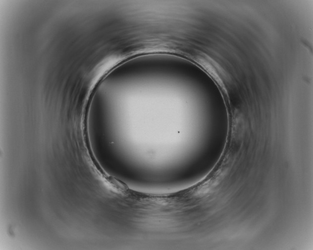 X0000097671197200802291453