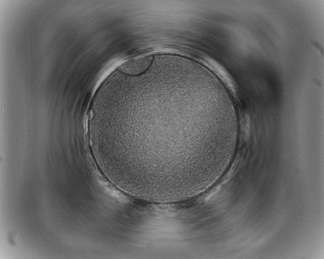 X0000097671198200802291453