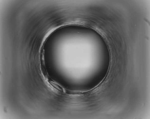 X0000097671200200802291453