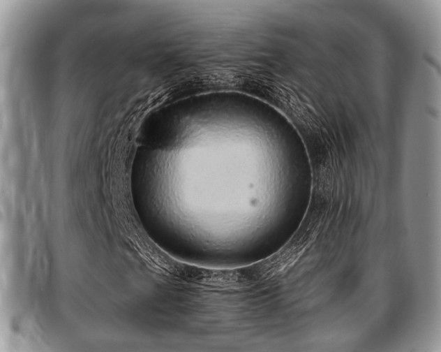 X0000097671201200802291452