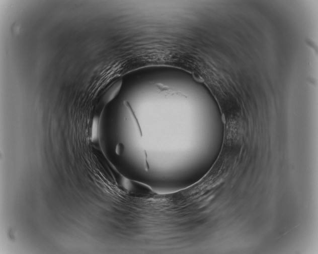 X0000097671202200802291452