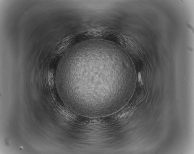 X0000097671203200802291452