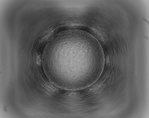 X0000097671204200802291452
