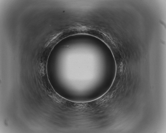 X0000097671205200802291452