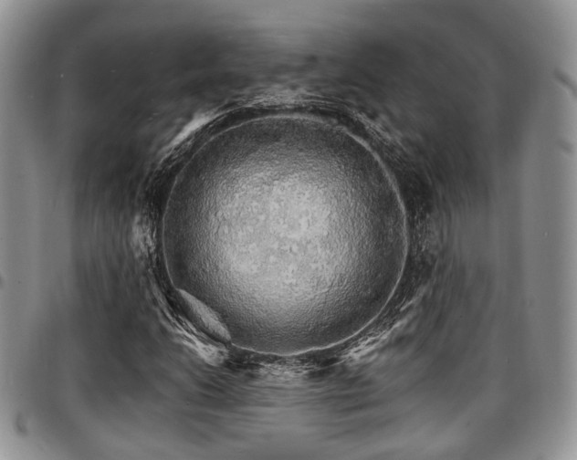 X0000097671206200802291452