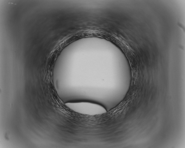 X0000097671207200802291452