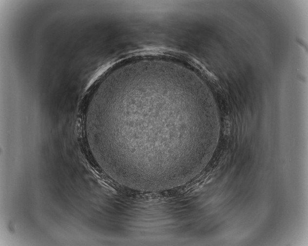X0000097671208200802291452
