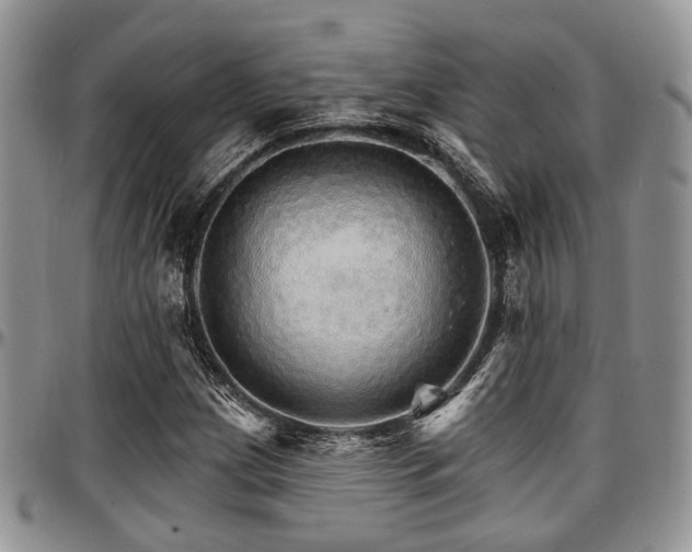 X0000097671209200802291452