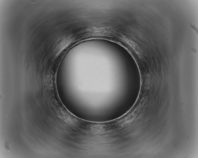 X0000097671211200802291452