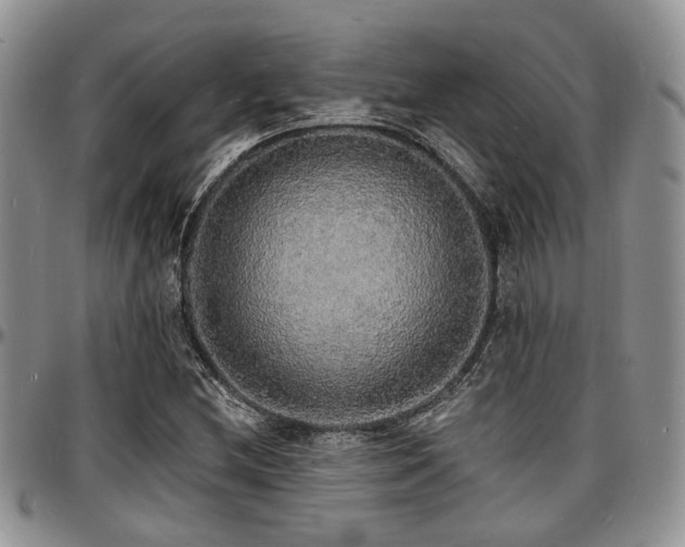 X0000097671212200802291452