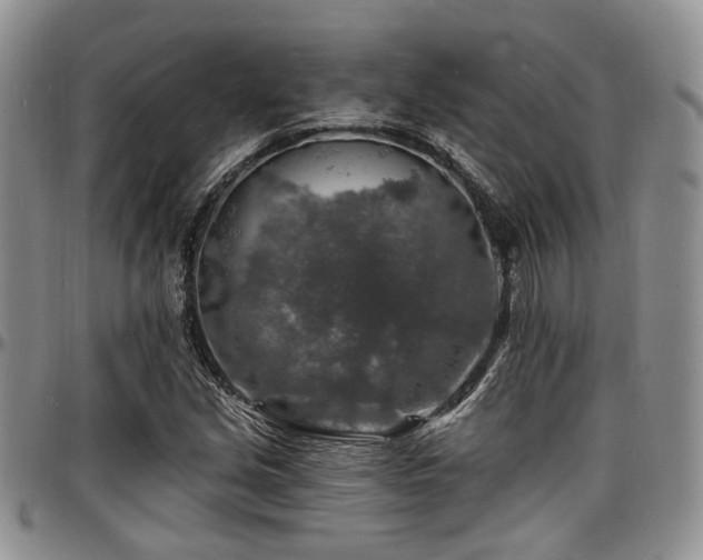 X0000097671213200802291452