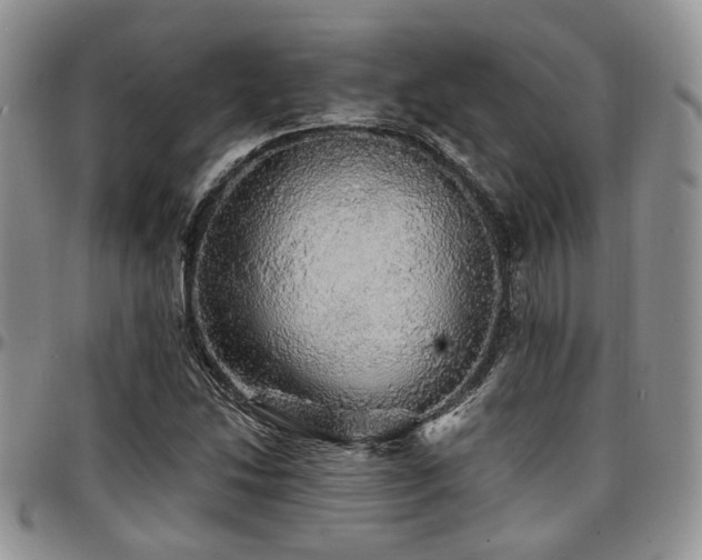 X0000097671214200802291452