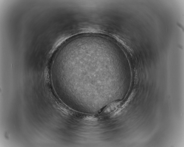 X0000097671215200802291452