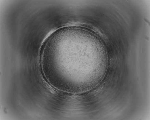 X0000097671216200802291452