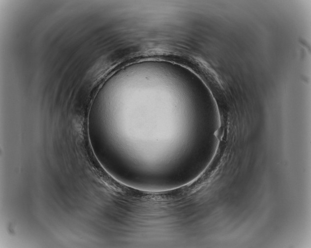 X0000097671217200802291452