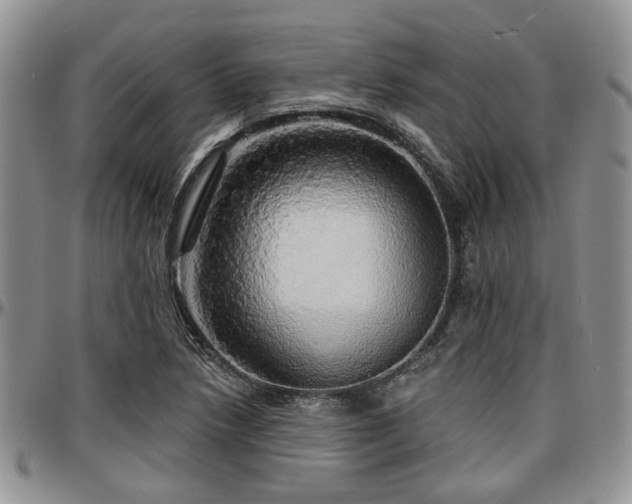 X0000097671218200802291452