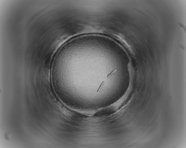 X0000097671220200802291452