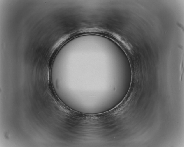 X0000097671221200802291452