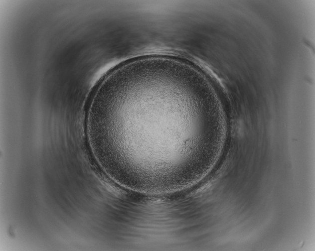 X0000097671222200802291452