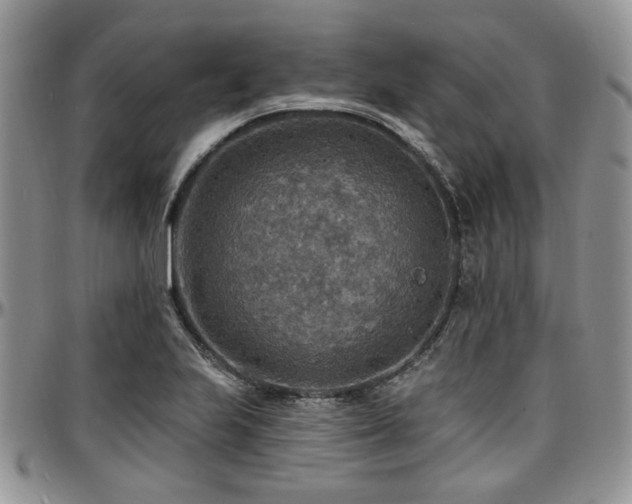 X0000097671223200802291452